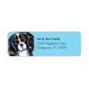 Search for ckcs Cavalier king charles spaniel