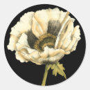 Search for poppy flower stickers Botanical