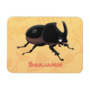 Search for beetles magnets Cute