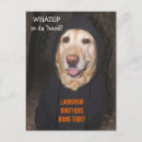Search for hoodie postcards Dog