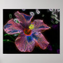 Search for and electrical posters Floral