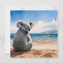 Search for koala bear cards Cute animals