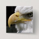 Search for prey badges Birds