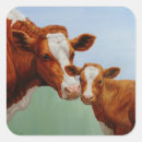 Search for love cow stickers Calf