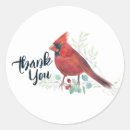 Search for cardinal bird stickers Watercolor