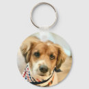 Search for kays key rings Dog