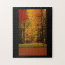 Search for fall foliage puzzles Orange