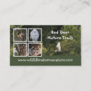 Search for ornithology photography Animal