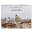 Search for owl calendars Birds of prey