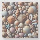 Search for sea shells coasters Colourful