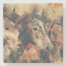 Search for horse coasters Ranch