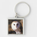 Search for bird of prey key rings Animal
