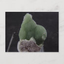 Search for stamp collector postcards Mineral