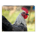 Search for chicken rooster calendars Chickens