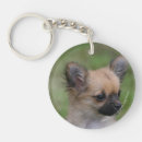 Search for long haired chihuahua key rings Bob and pam langrish