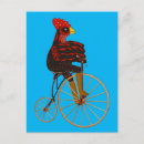 Search for rooster vintage postcards Funny