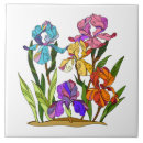Search for colorful tiles Garden