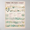 Search for chart posters Botanical