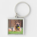 Search for backyard key rings Animal