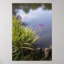 Search for japanese garden posters Pond