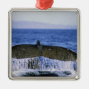 Search for home alone christmas tree decorations Animal