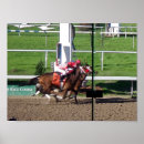 Search for hoof posters Mane