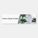 Search for abusive bumper stickers Animal welfare