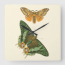 Search for nature border art Insects