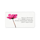 Search for nice return address labels Classy