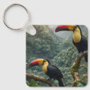 Search for colorful bird key rings Birds