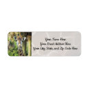 Search for wild animals return address labels Giraffe