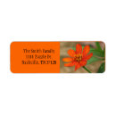 Search for zinnia return address labels Photography