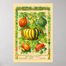 Search for squash art Vegetables