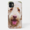Search for goldendoodle iphone cases Puppy
