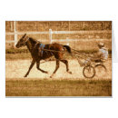 Search for standardbred horse Photography
