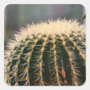 Search for spine stickers Cactus