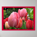 Search for spring bulbs posters Floral