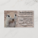 Search for squirrels business cards Wildlife