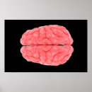 Search for neurology art Neuroscience
