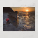 Search for bouys Beach