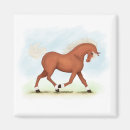 Search for blaze magnets Horse