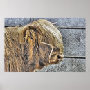 Search for bovine posters Animals