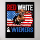 Search for red white stripes posters Symbol