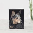 Search for acd dog cards Heeler