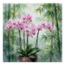 Search for bamboo posters Tropical