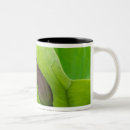 Search for joann mugs Lotus