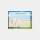 Search for kilimanjaro African elephant