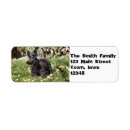 Search for scottie dog return address labels Black