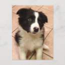 Search for border postcards Cute