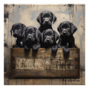 Search for 003 Dogs